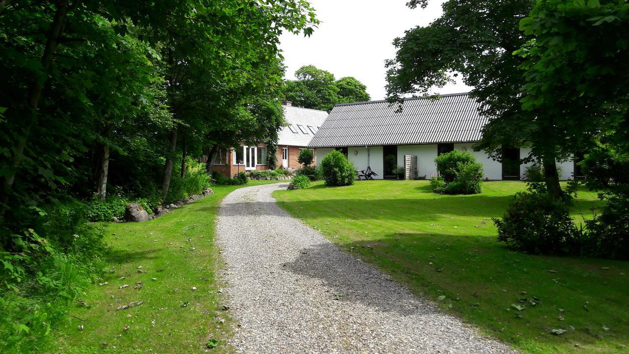 Lyngbjerggaard Ferieboliger - B&B Fjerritslev Extérieur photo
